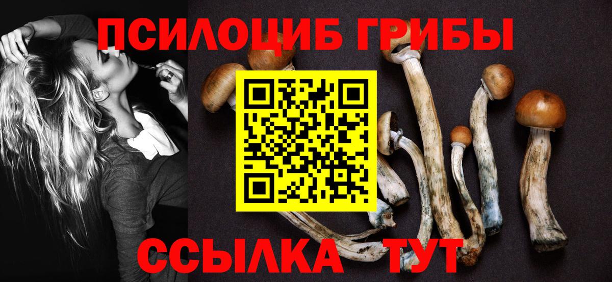 Галлюциногенные грибы ЛСД Реутов